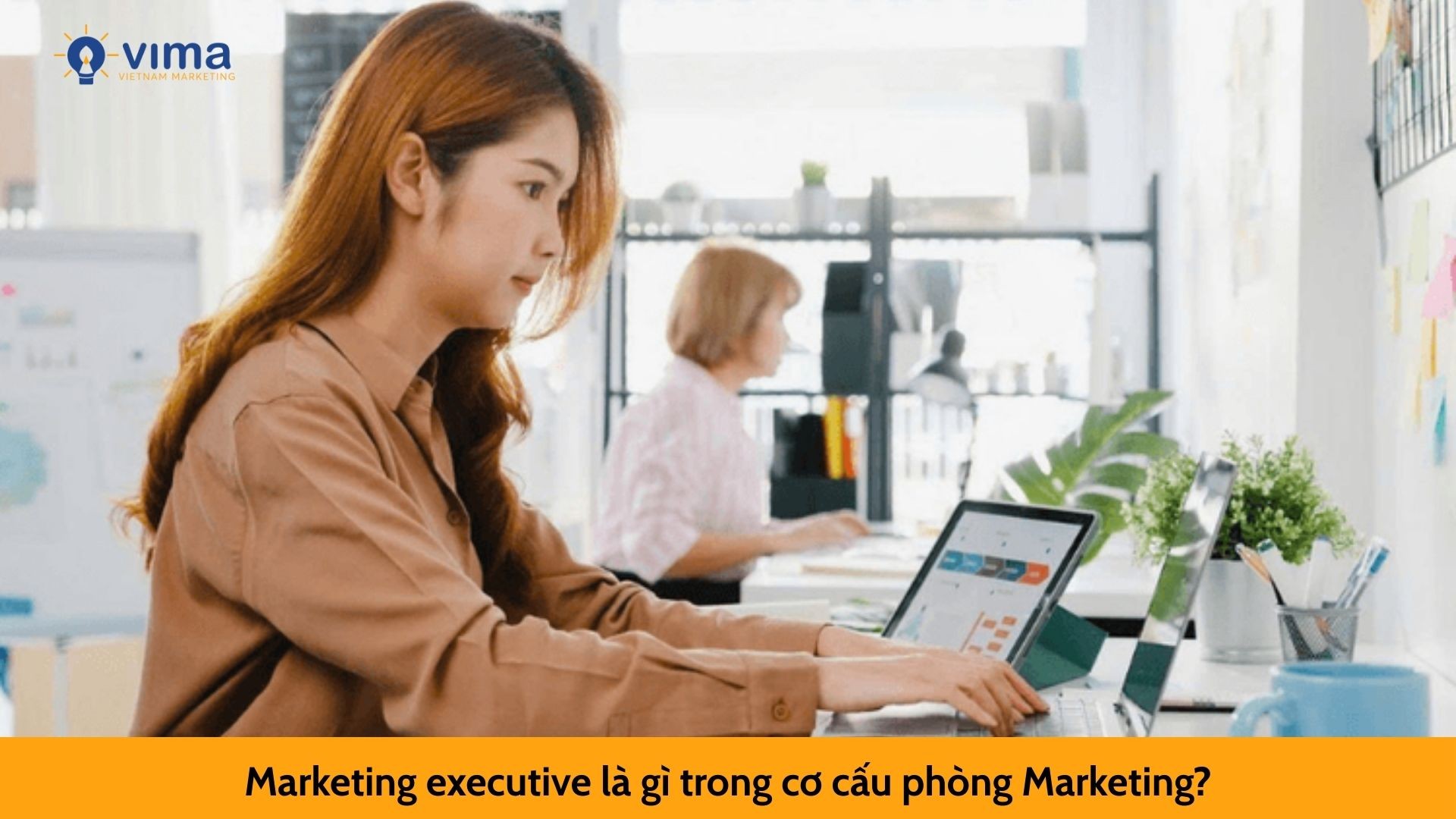 Marketing executive là gì trong cơ cấu phòng Marketing?